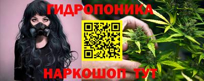 apvp Кандалакша