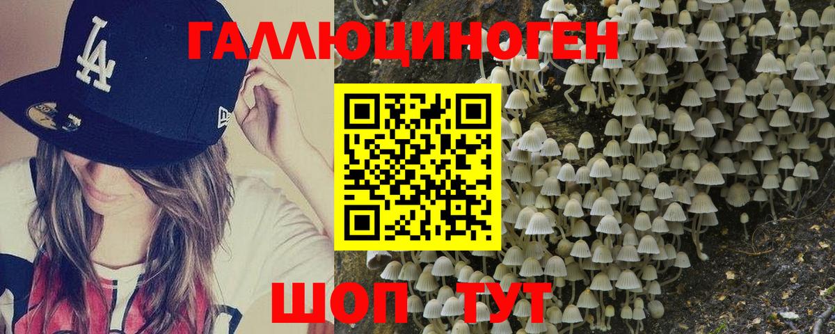 Псилоцибиновые грибы прущие грибы Черногорск
