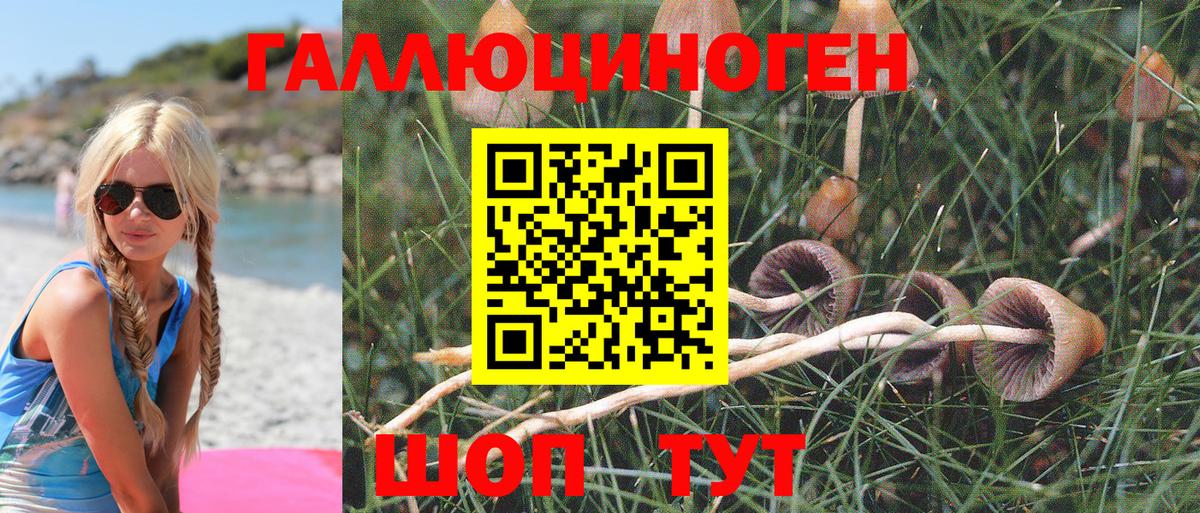 Псилоцибиновые грибы Psilocybe  Галлюциногенные грибы Cubensis  Черногорск  Вход с VPN 